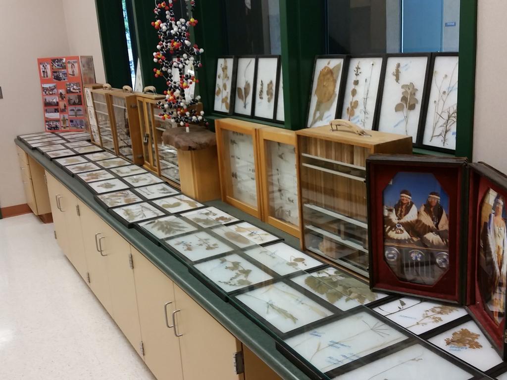 BurtonSchools's tweet photo. Mr. Cozad at SCCA has an amazing display of artifacts that are available for elementary students to visit. Very nice! http://t.co/Ze1h6S9lH7