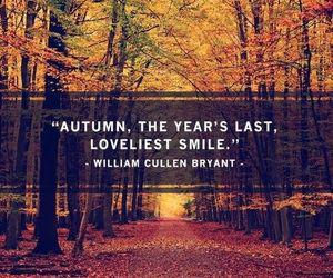 1EutopiaBeauty's tweet photo. Fall is coming up!!! Come on in and make an appointment for an amazing transformation:D #fallseason #changeisgood :) http://t.co/geLQpcXgFq