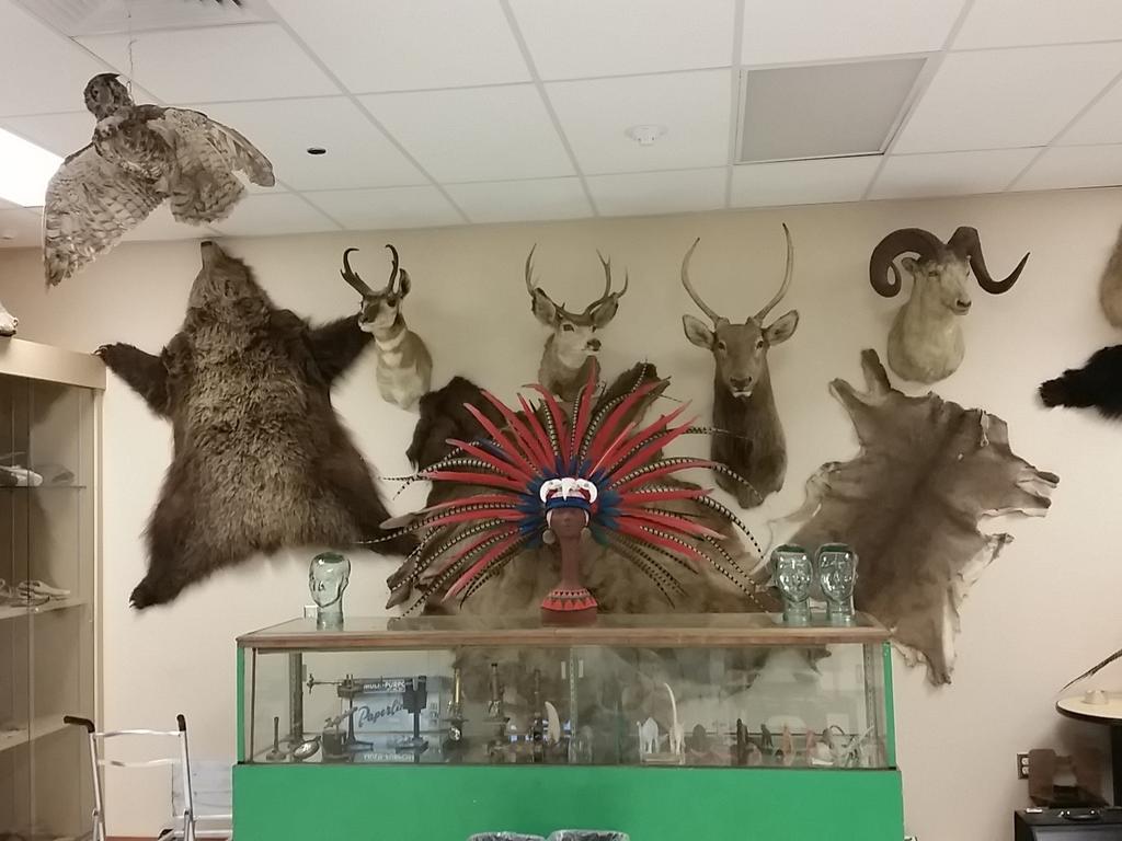 BurtonSchools's tweet photo. Mr. Cozad at SCCA has an amazing display of artifacts that are available for elementary students to visit. Very nice! http://t.co/Ze1h6S9lH7