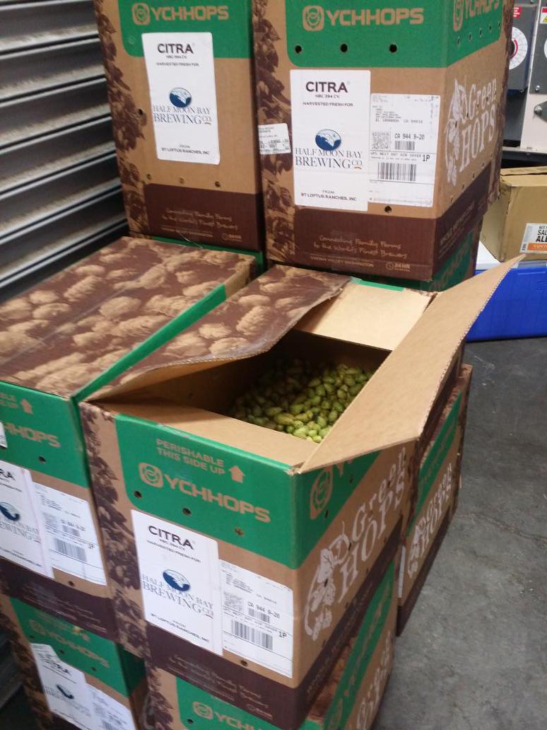 Straight outta Yakima... Hop Goggles Citra coming to your glass soon.