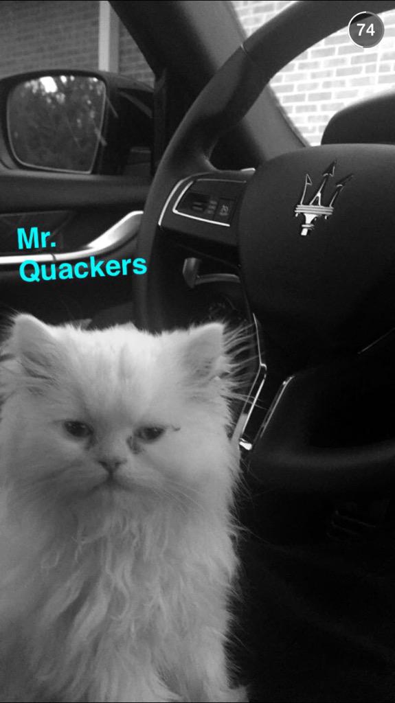 _mrquackers's tweet photo. http://t.co/PGaABPVDni