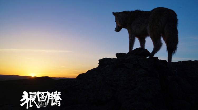 WineCountryFF's tweet photo. Due to rain, Wolf Totem will be postponed to Thursday night. Check back for more updates. #WCFF15 http://t.co/6iIpM2AqxN