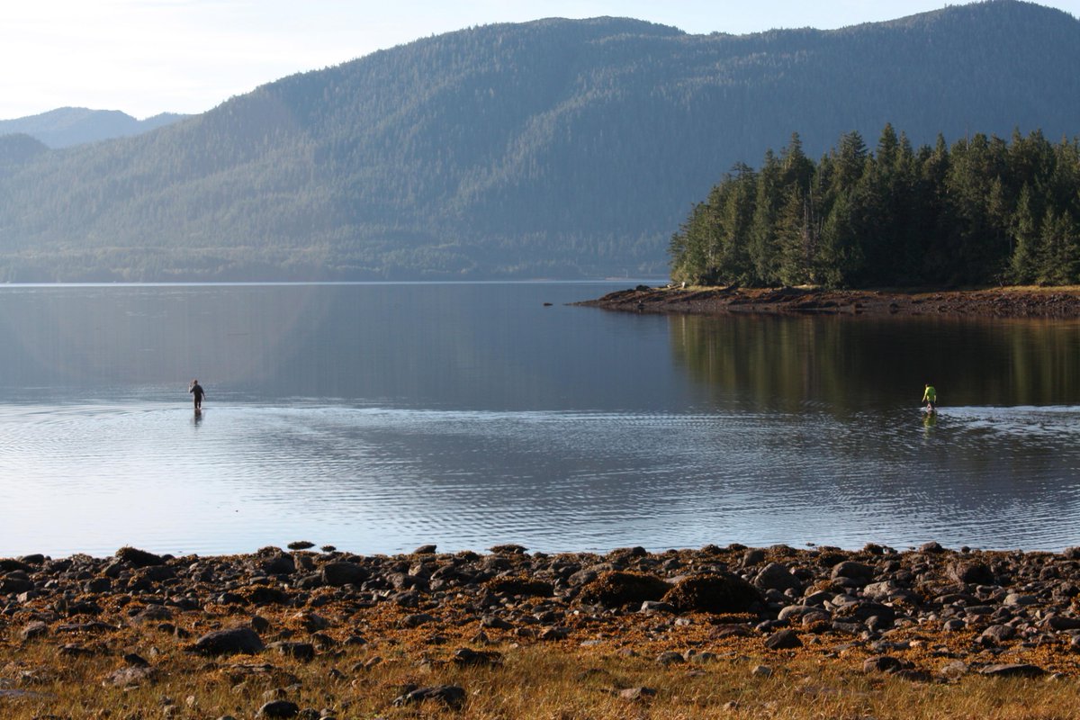 ChalifourLia's tweet photo. The sun shining on our new site at Grassy Bay #PrinceRupert @EgerAaron @baumlab @ZENscientists #ZENscience #eelgrass http://t.co/97h1pRXpPt