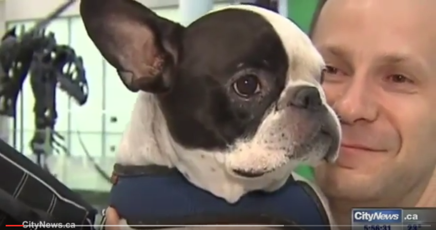 EconCybernetics's tweet photo. Air Canada pilot makes emergency landing to save dog from freezing. http://t.co/ygioWPe4cu http://t.co/bdE1PTzV7h