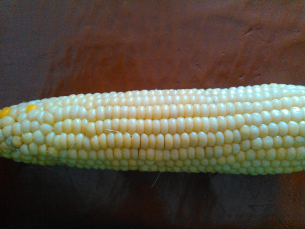 wada_woo's tweet photo. #RezCorn🌽 #Roasted🌽 #NativeGrown🌽 Oh did I mention #Corn🌽🌽🌽🌽😀😀😀😀 Great taste😋 same with #Fruits and #Veggies http://t.co/ZtMBvZbGFx