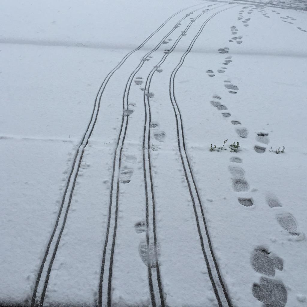 in10000hands's tweet photo. Suitcase tracks heading to my lodge through the #snow in #Montana for #Hatch2015 http://t.co/P9aSGthkKR
