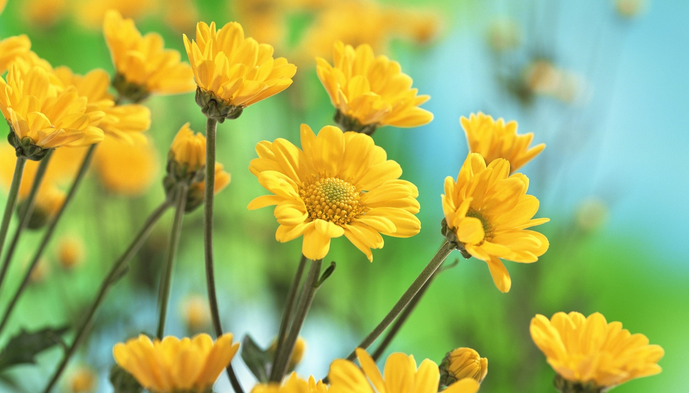 QuestionDeJour's tweet image. How do you decide what is moral behavior and what is not?