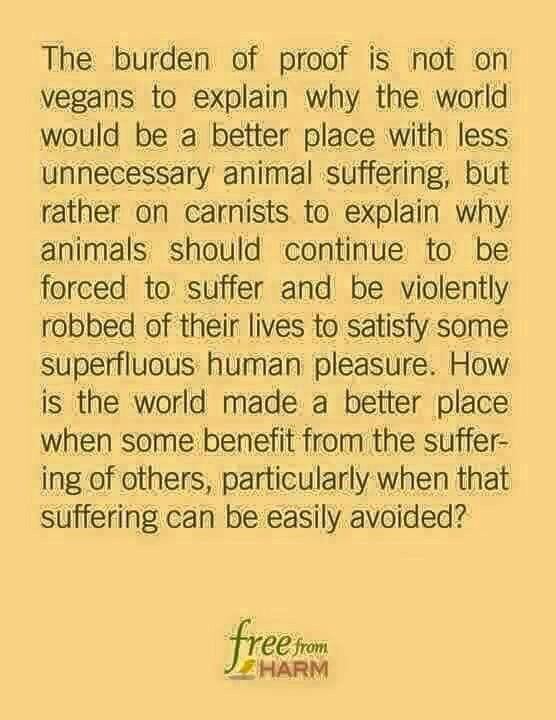 #farm365 #GoVegan #freefromharm #animalrights #friendsnotfood #veganism #animalsarenotours #animalliberation