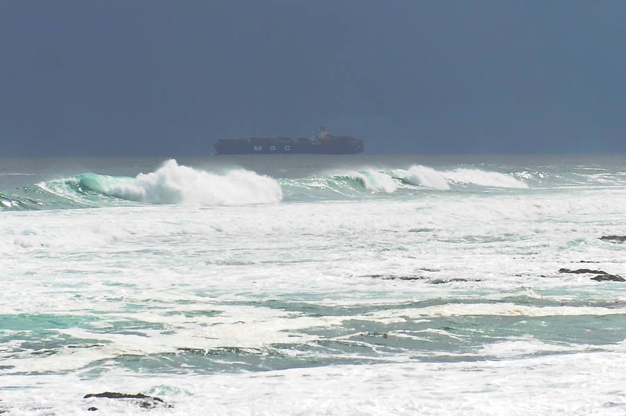 biobio tweet picture