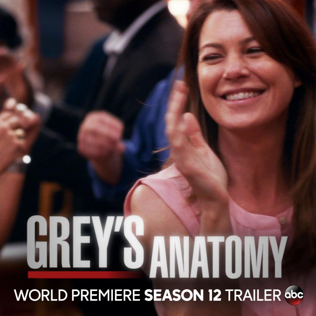 GreysABC's tweet photo. #TGIT indeed! Get ready for the world premiere of the #GreysAnatomy's Season 12 Trailer tomorrow morning at 7|6c! http://t.co/v6GsvnUPmV
