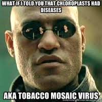 MembraneWall's tweet photo. @bonnewt201 http://t.co/ZGXVxMbrrE