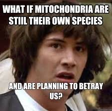 MembraneWall's tweet photo. @mitochondriais http://t.co/w9zEC7R1Cz