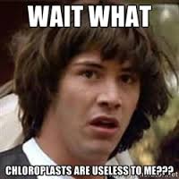 MembraneWall's tweet photo. @bonnewt201 http://t.co/p11VpV52IX