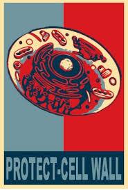 MembraneWall's tweet photo. @MembraneWall Vote for us! http://t.co/jfhr0h8n26