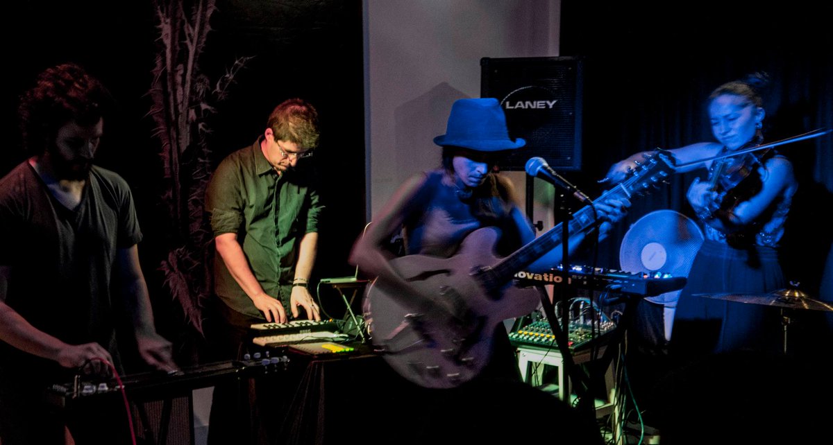 Marasma Zibra tweet media