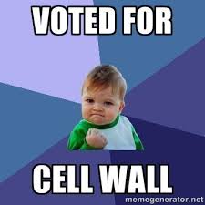 MembraneWall's tweet photo. @bonnewt201 http://t.co/UnvR1dW9g9