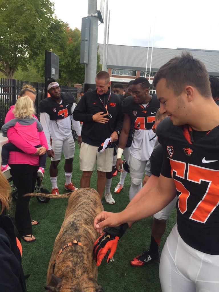 VincentGuinta's tweet photo. Coach Andersen's dogs were at practice today. #BigDog #WhoLetTheDogsOut? http://t.co/scl3ySauAV