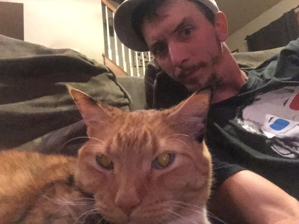 comochive's tweet image. Here is a new challenge for you

#AngryCatSelfie #KCCO #BFM3D