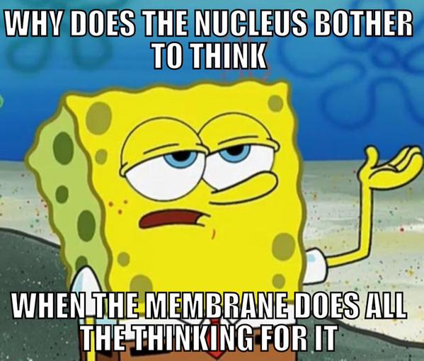MembraneWall's tweet photo. @Nucleus54321 http://t.co/pDFGCNPFCx
