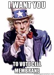 MembraneWall's tweet photo. @MembraneWall uncle Sam approves http://t.co/eaNsi9l4nJ