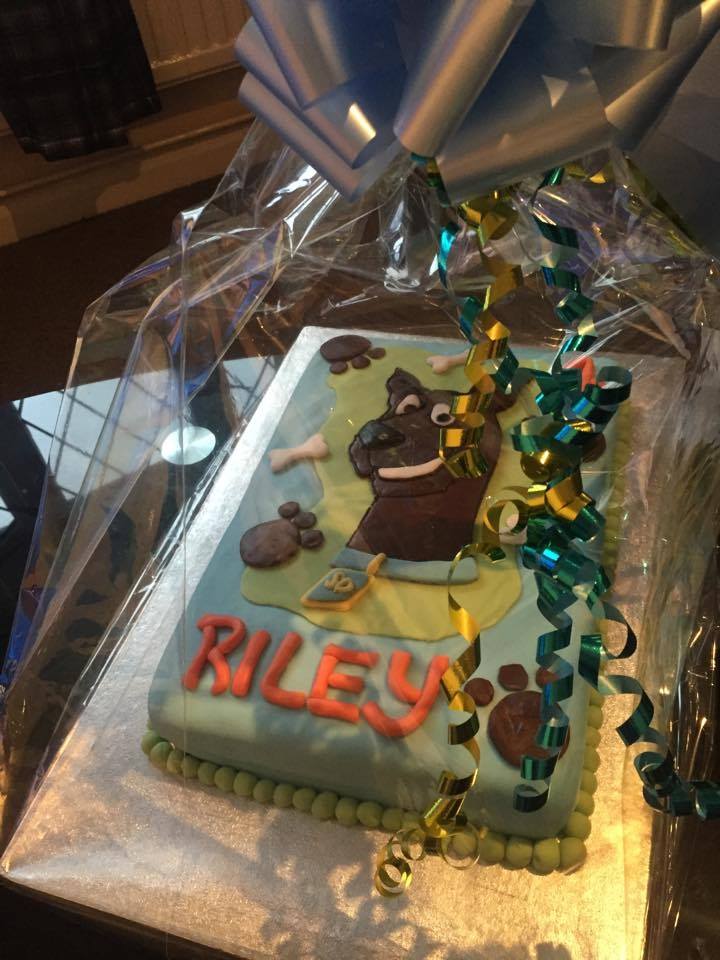 Buttercream Queen (BQbespokecakes) Twitter