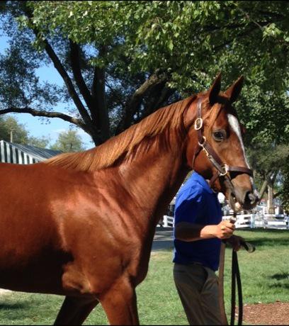 DRFRusso's tweet photo. The incorrigible Mr. Z's half-brother, cataloged as Hip 666. You just cannot make this stuff up. #KeeSept http://t.co/bLNFzdKE5c
