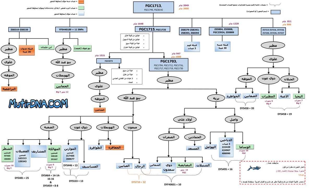 1- يسر #سلالات_مطير الإعلان عن نسخة محدثة لمشجرة قبيلة مطير الجينية -وهي بالمرفقات- وكذلك لقبائل التحور FGC1713
