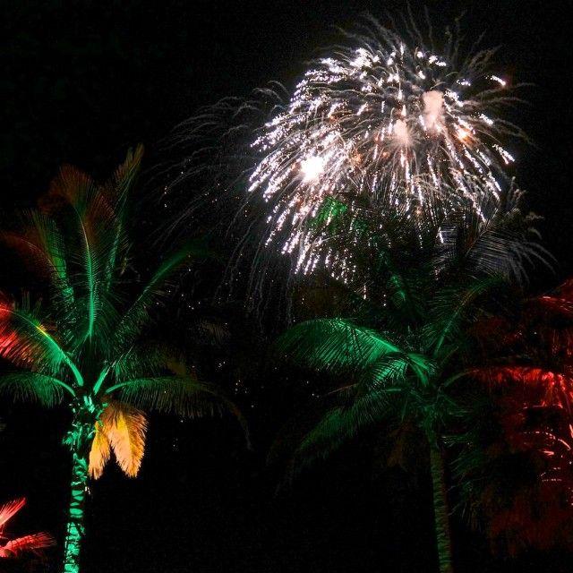 Cabotella tweet media