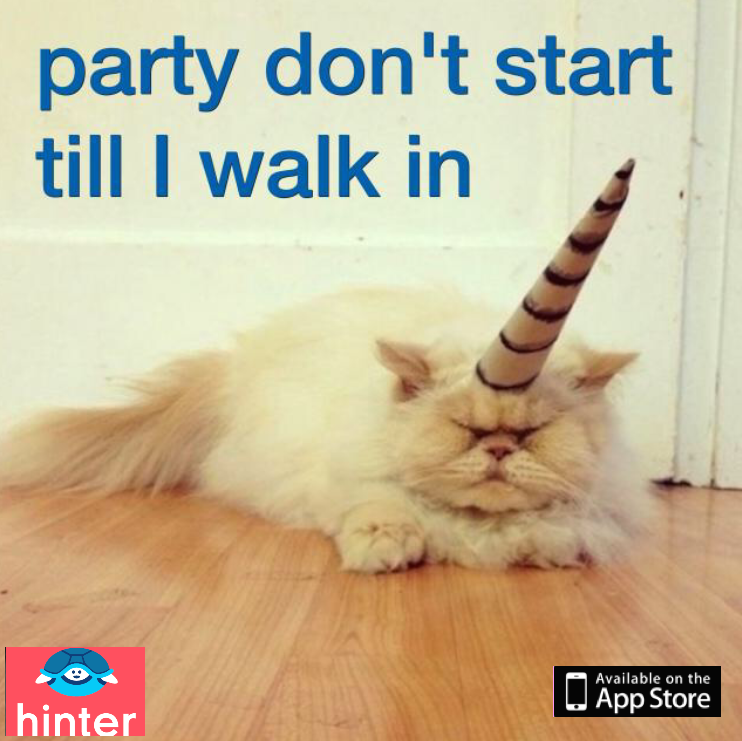 RandomLogic_'s tweet image. Follow us @catsofhinter on Hinter. Hinter can be downloaded on the AppStore.