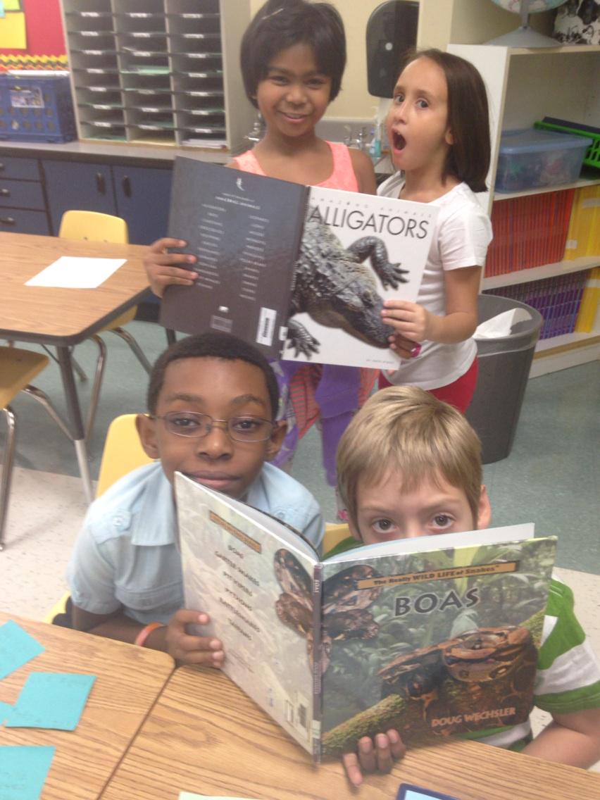 It's Genius Hour! Who would win?...an alligator or boa constrictor? <a href="/ShakeragElem/">Shakerag Elementary</a>