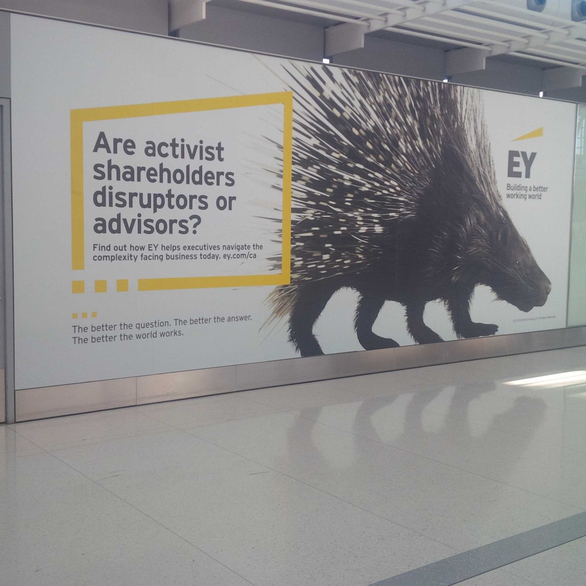 jaekim780's tweet photo. Are Activists... #Shareholders, #Disruptors or #Advisors... @EYnews @TorontoPearson http://t.co/sUGN7pW7ce