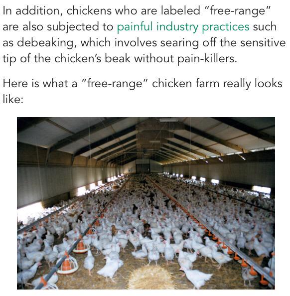 [deleted by user] : r/unitedkingdom