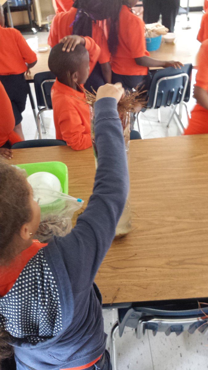 MisterCheatham's tweet photo. @SeatackE students creating 1st phase of their Eco-Columns; tomorrow's forecast is wild with a chance of goldfish! http://t.co/L4OdEPnWSS