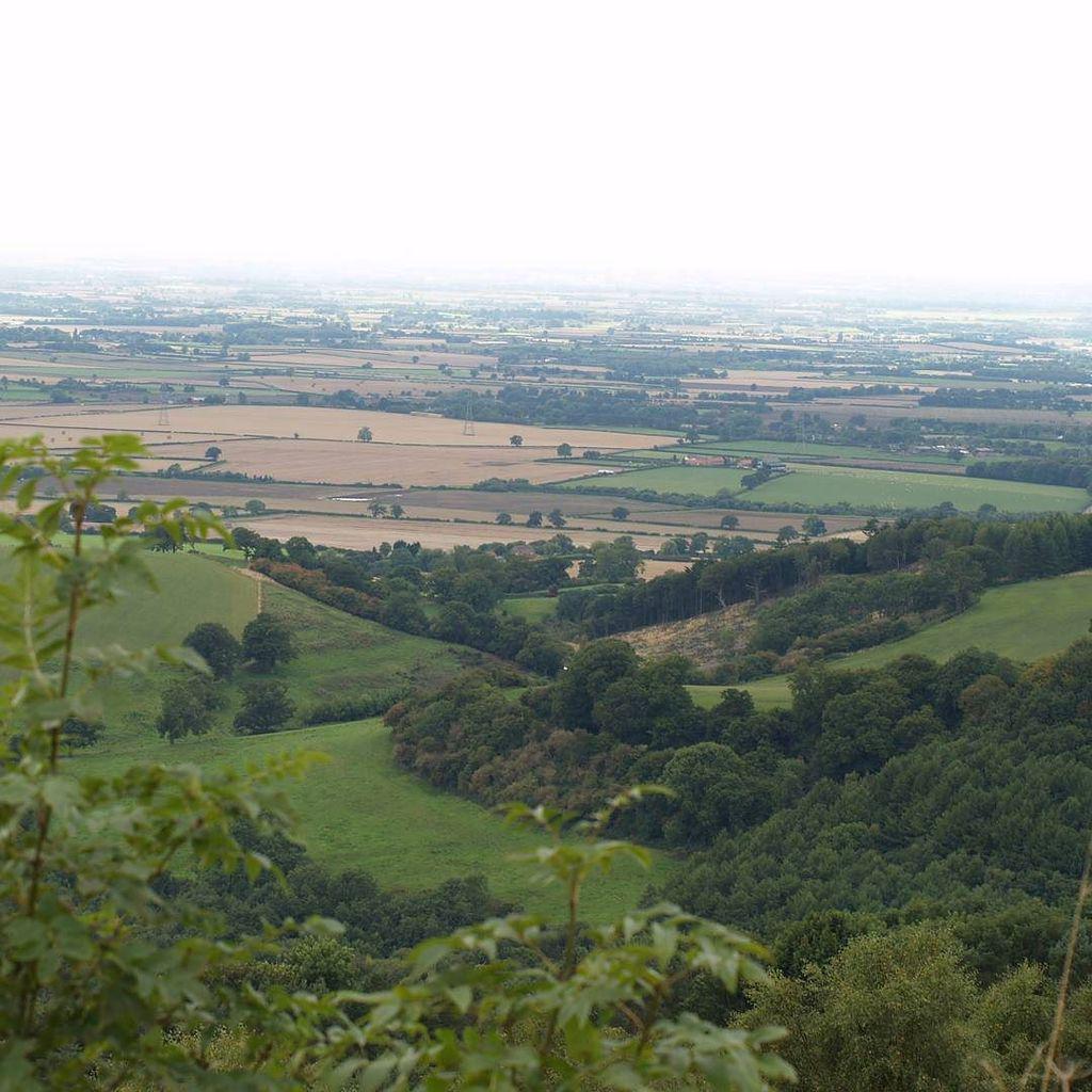 NatlParksPhotos's tweet photo. by nathanparry1987: #finestviewinengland #suttonbank #northyorkshire #nationalpark #walking #naturalworld #scenesof… http://t.co/kLYGulJZR7