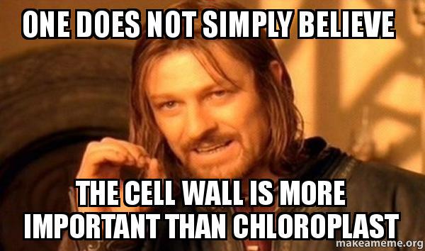 bonnewt201's tweet photo. #organellewars @Mrs_Hibbs @MembraneWall http://t.co/2piBhjvYka