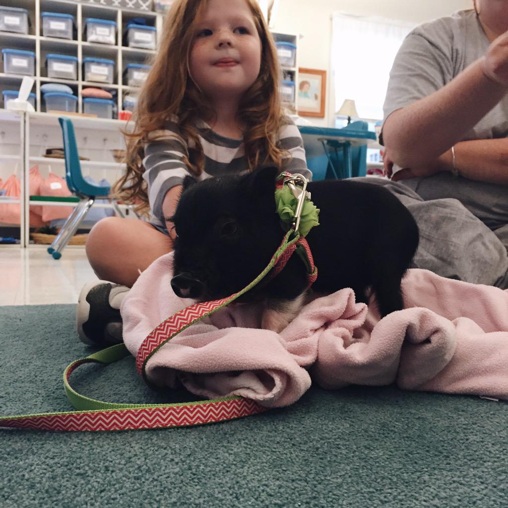 hyfrkat's tweet photo. #perksof working at a pre-k occasionally cute animals stop by 😇😍 http://t.co/vWg7eVBf0O