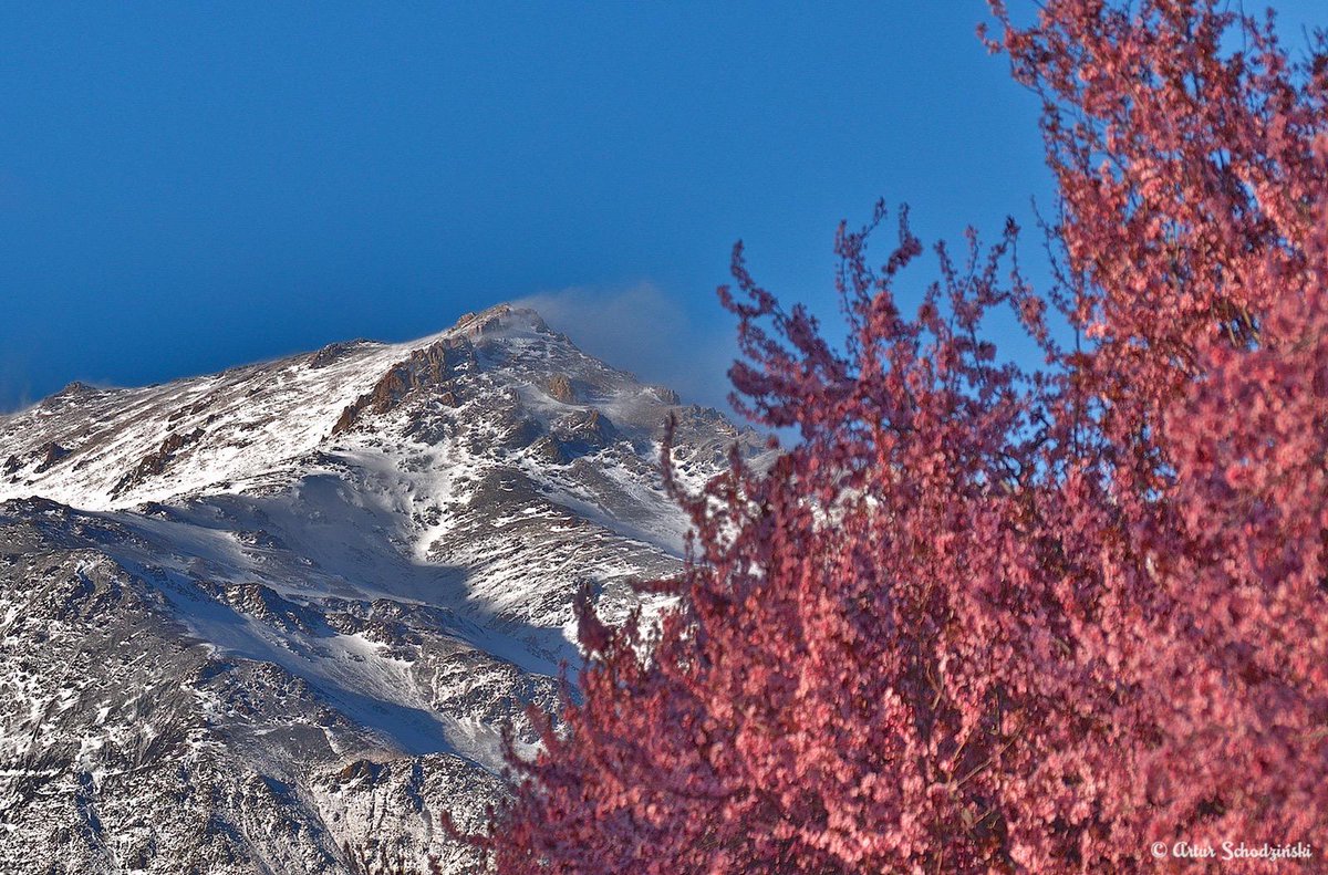 aschodzinski's tweet photo. #Esquel #Patagoania #primavera #colores 
Mi pagina en FB
https://t.co/jGPYFBmElg http://t.co/W7nYfFGl1y