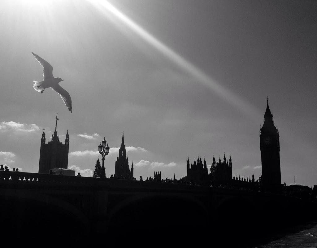 TravelTall's tweet photo. http://t.co/gauAJVC29a Picture of the week: Week 53 - #London, #England. #travelblogger #travelstoke http://t.co/YyVfbltghR