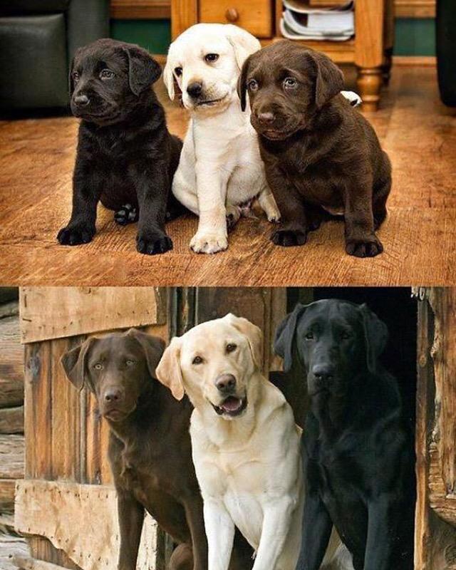 OraYReflexiona's tweet photo. Mejores amigos por siempre 😍❤️ http://t.co/1Jasysg6Jd