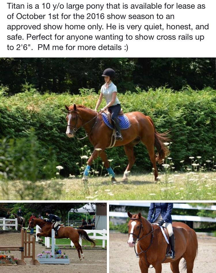 canadian_riders's tweet image. From Central East zone - Newmarket, Ontario
