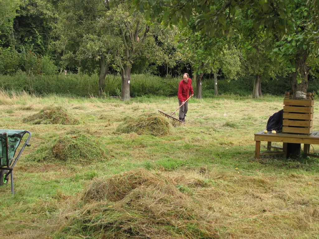 Wanting something fun and active to do on Sunday in #Fulford? Join our Pick and Shift volunteer session! From 2pm.