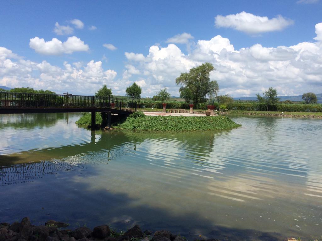 david_ice22's tweet photo. Visita a Hacienda del Carmen Jalisco http://t.co/0dX2r0BOrc