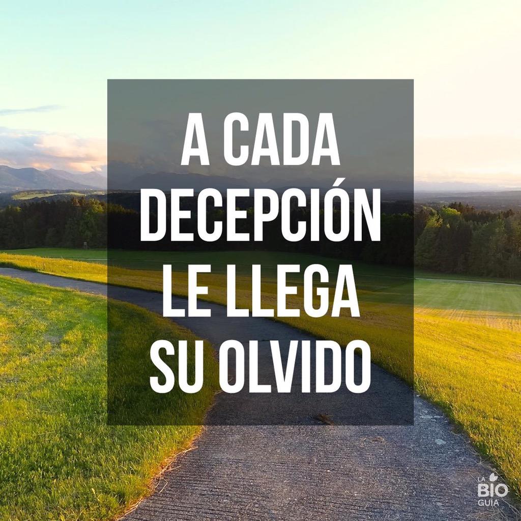 María Baca tweet media