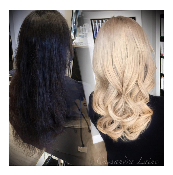 PMTSCHICAGO's tweet photo. Jet Black To Platinum In One Day! Check out this How-to from Cassandra ⇢ http://t.co/ViZNLga2pg
#PMTSChicago http://t.co/9SVPNp001V