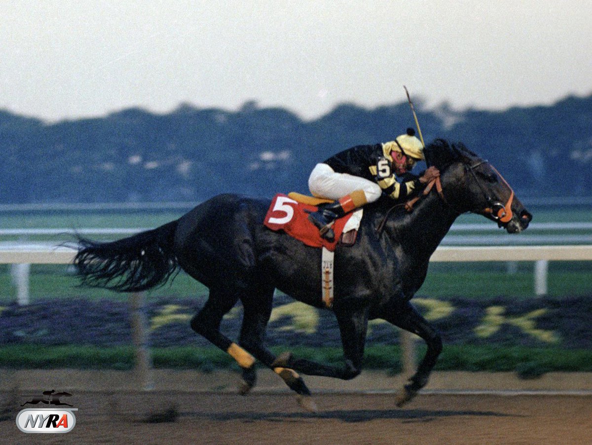 TheNYRA's tweet photo. On this day in 1978, #TripleCrown winners Seattle Slew &amp; Affirmed battled in #Belmont's Marlboro Cup! Know who won?! http://t.co/ClVLo04j6w