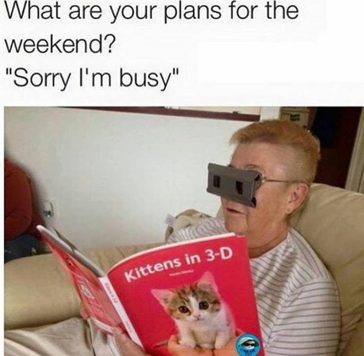 ItsSpaceCats's tweet photo. When my friends ask me what I'm doing this weekend. http://t.co/77k7i8CxE4