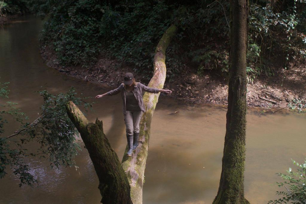 hollyodonnell00's tweet photo. #LifeInTheAmazon #AnimalConservation #zoology #amazon #peru #bridge #nature http://t.co/sv8jRvz15N