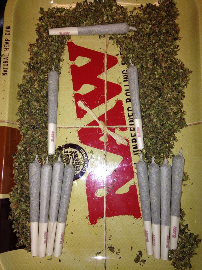 Lastnameswood's tweet photo. @BabyGrowsDank you obviously should 

I'm on a Thin Mint Girl Scout 🍪 kick
#showmehowyouroll http://t.co/ZhVVuJW173
