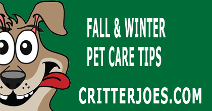 CritterJoes's tweet photo. Fall &amp; Winter Pet Care Tips | https://t.co/sk3ZoOnUsf  #petcare #pethealthcare #petnews #dognews #ledcollars #dog https://t.co/TyKsZBBT0Q