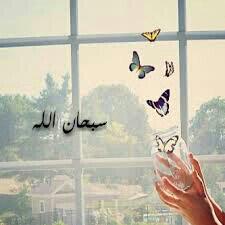 bs_______77's tweet photo. دائما نرطب ألسنتنا بقول سبحان الله فالملائكه والجبال والأوديه والجبال والاشجار ألا من شئ الا أن يسبح بالله http://t.co/dff2JkenDP